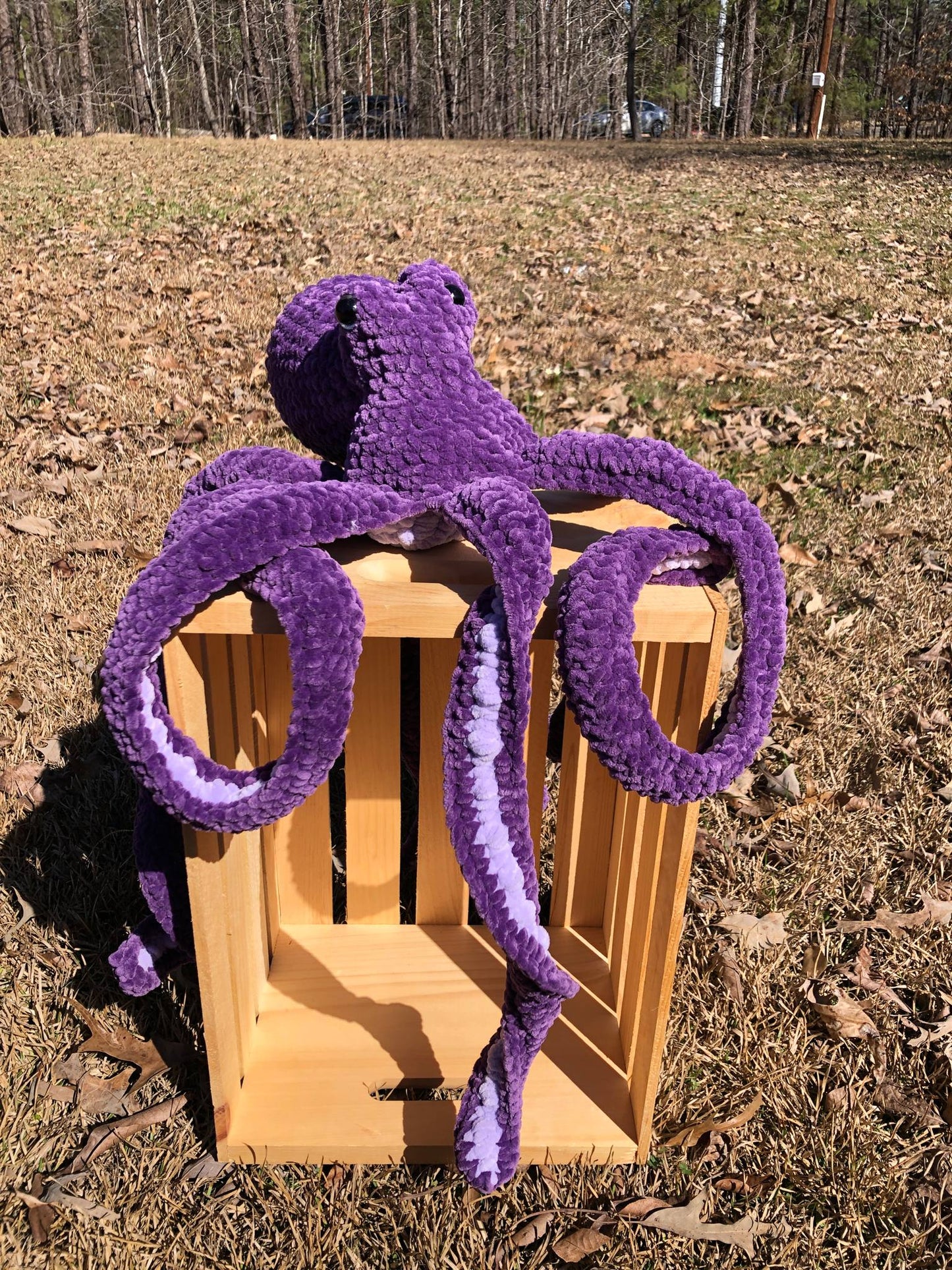 Anchor – The Cuddliest Captain of Cuteness!